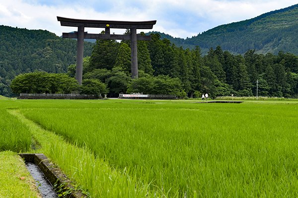 熊野古道基点、大斎原の大鳥居