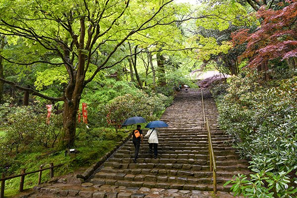 雨の室生