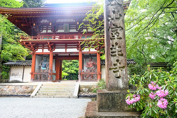 雨の室生寺