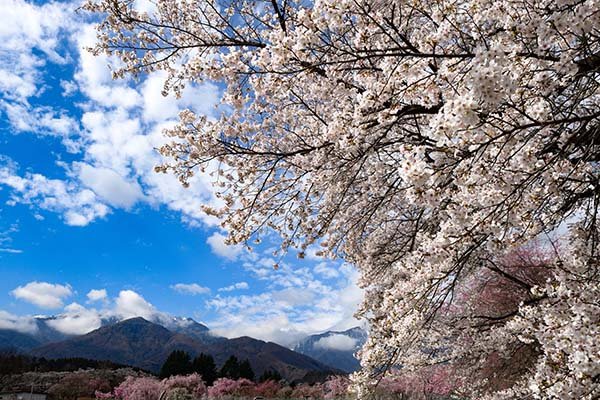 雲間から鳳凰三山現れる