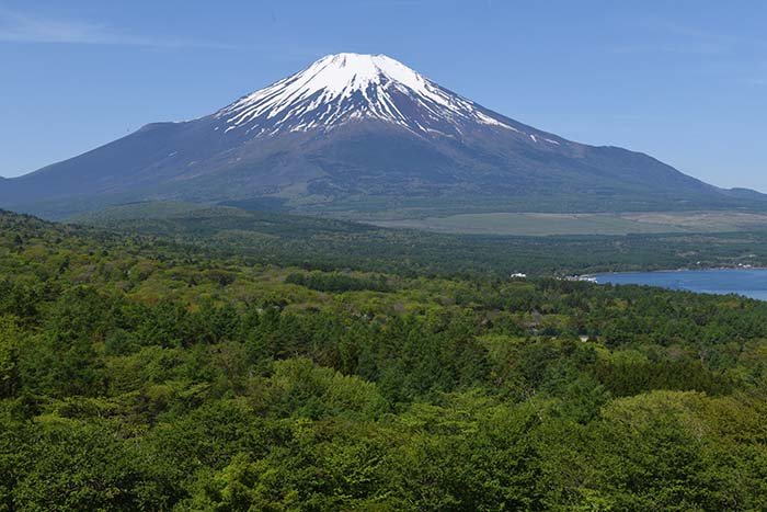 山中湖パノラマ台からの富士山