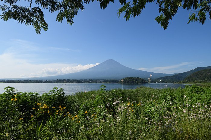 木陰に憩う