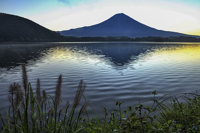 チカラシバと日の出前の田貫湖