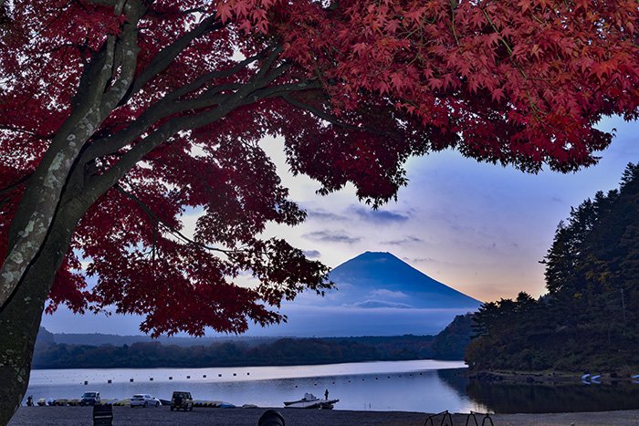 精進湖紅葉