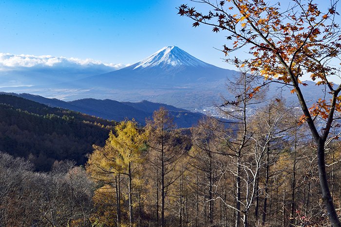 紅葉と唐松林の黄葉