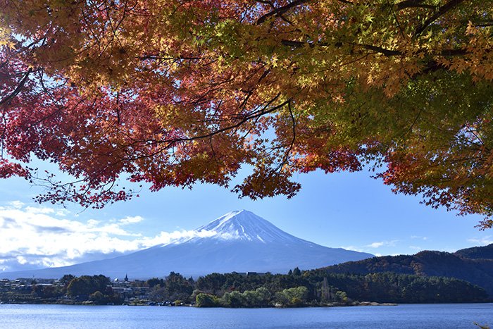 澄渡る空、染まる楓の紅葉