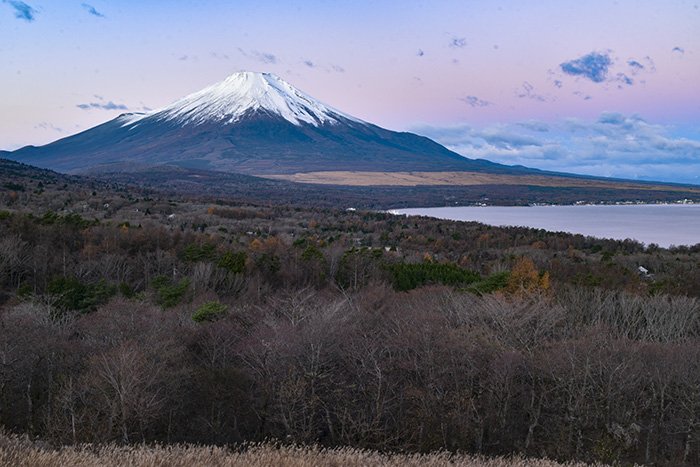 パノラマ台からの富士山