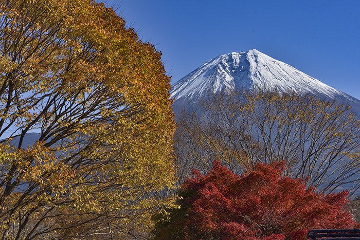 田貫湖キャンプ場