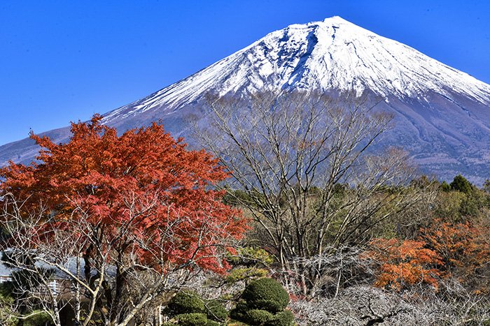 富士桜墓園